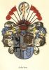 Heraldik - Adeler